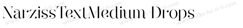 NarzissTextMedium Drops字体转换